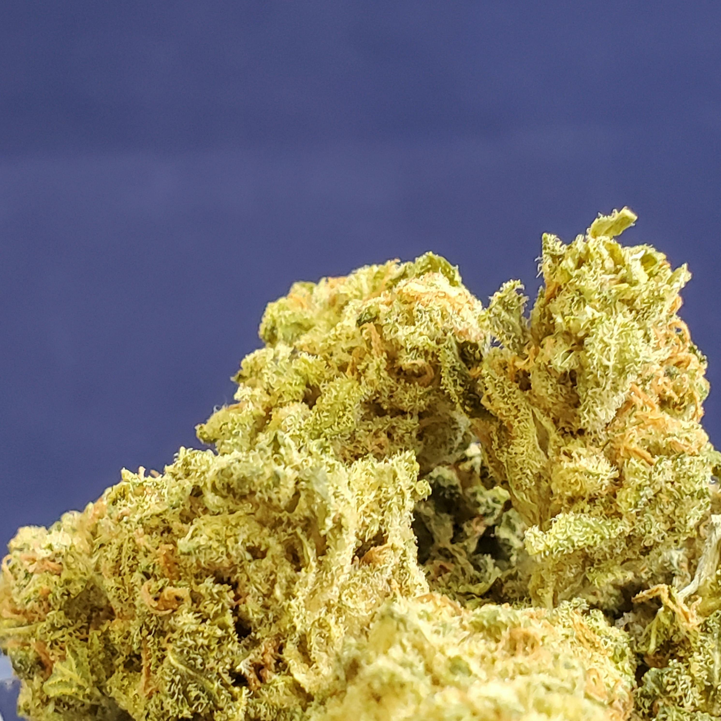 Honey Badger Haze (SativaHybrid)